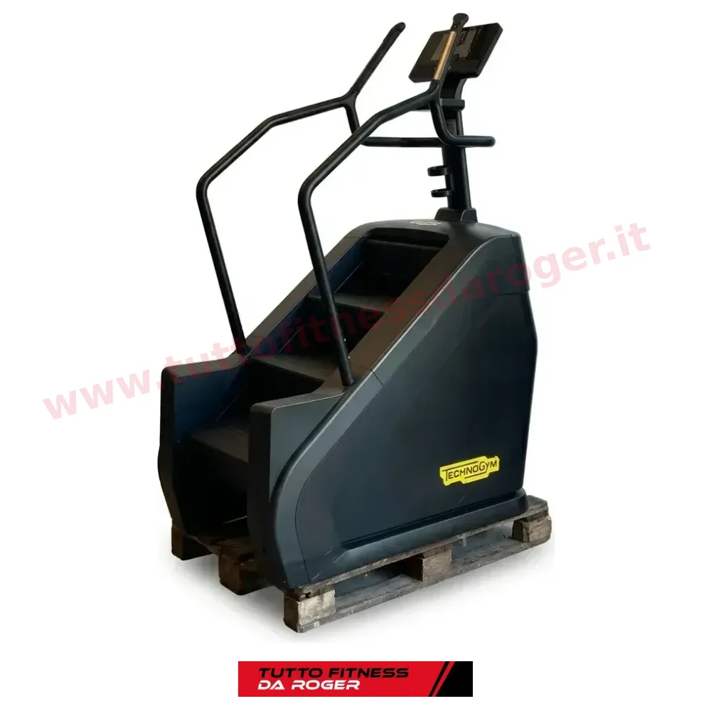 Artis Climb (scale) TechnoGym
