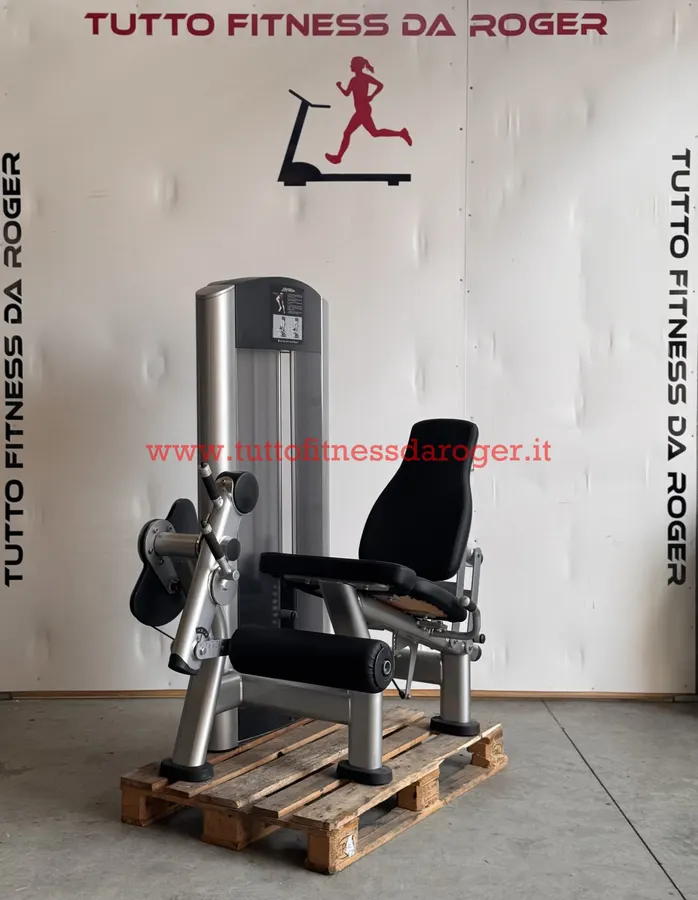 LEG EXTENSION LIFE FITNESS LEG EXTENSION LIFE FITNESS